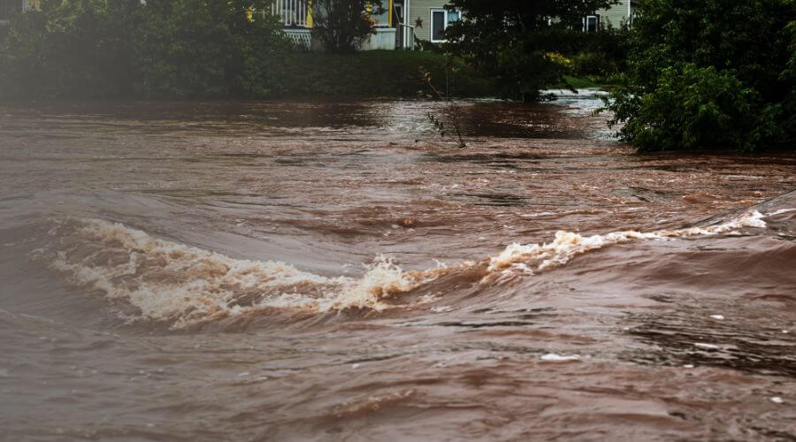 Why choose water damage restoration service for emergency flood repair in Austin